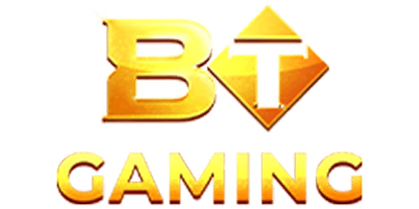 BT-COLOR logo